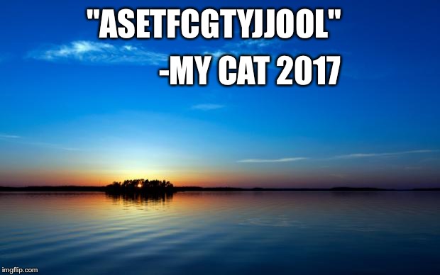 Inspirational Quote | "ASETFCGTYJJOOL"; -MY CAT 2017 | image tagged in inspirational quote | made w/ Imgflip meme maker