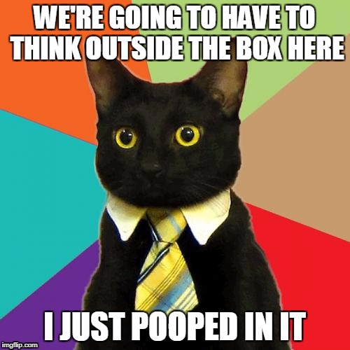 Litter Box | WE'RE GOING TO HAVE TO THINK OUTSIDE THE BOX HERE; I JUST POOPED IN IT | image tagged in memes,business cat | made w/ Imgflip meme maker