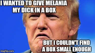 I WANTED TO GIVE MELANIA MY DICK IN A BOX BUT I COULDN'T FIND A BOX SMALL ENOUGH | made w/ Imgflip meme maker