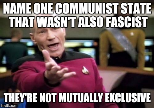 Picard Wtf Meme | NAME ONE COMMUNIST STATE THAT WASN'T ALSO FASCIST THEY'RE NOT MUTUALLY EXCLUSIVE | image tagged in memes,picard wtf | made w/ Imgflip meme maker
