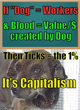 The USA has an infestation of Millionaires | If "Dog" = Workers; & Blood = Value/$ created by Dog; Then Ticks = the 1%; It's Capitalism | image tagged in capitalism,because capitalism | made w/ Imgflip meme maker