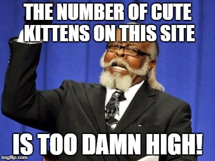 Too Damn High Meme | THE NUMBER OF CUTE KITTENS ON THIS SITE IS TOO DAMN HIGH! | image tagged in memes,too damn high | made w/ Imgflip meme maker