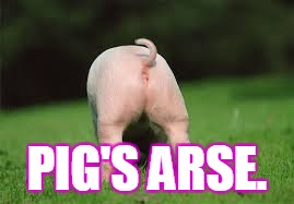 Pigs Arse | PIG'S ARSE. | image tagged in pigs arse | made w/ Imgflip meme maker