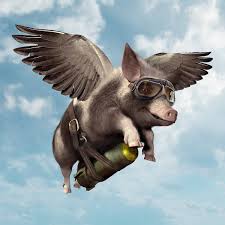 Pigs might fly Blank Meme Template