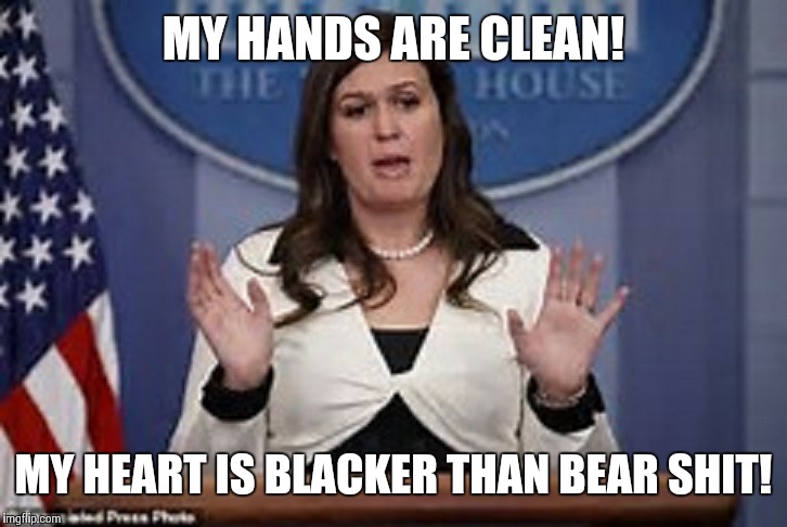 sarah huckabee sanders  | MY HANDS ARE CLEAN! MY HEART IS BLACKER THAN BEAR SHIT! | image tagged in sarah huckabee sanders | made w/ Imgflip meme maker