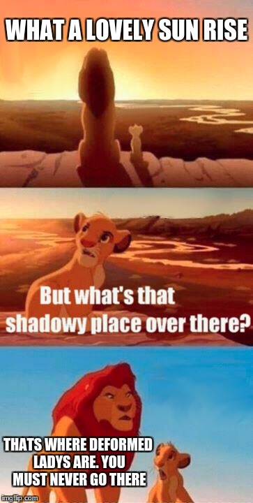 no | WHAT A LOVELY SUN RISE; THATS WHERE DEFORMED LADYS ARE. YOU MUST NEVER GO THERE | image tagged in memes,simba shadowy place | made w/ Imgflip meme maker