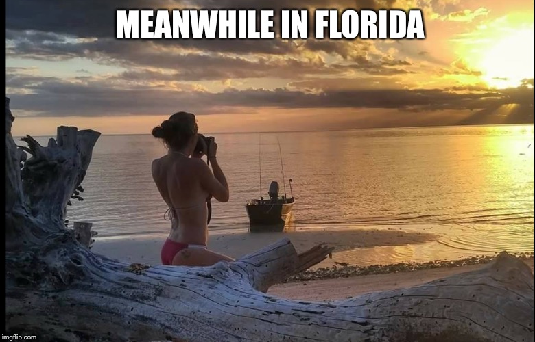 Winter is coming... | MEANWHILE IN FLORIDA | image tagged in florida,meanwhile in florida,memes | made w/ Imgflip meme maker
