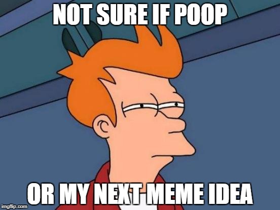 Futurama Fry Meme | NOT SURE IF POOP OR MY NEXT MEME IDEA | image tagged in memes,futurama fry | made w/ Imgflip meme maker