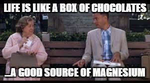 forrest gump box of chocolates | LIFE IS LIKE A BOX OF CHOCOLATES; ...A GOOD SOURCE OF MAGNESIUM | image tagged in forrest gump box of chocolates | made w/ Imgflip meme maker