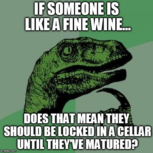 Philosoraptor Meme | IF SOMEONE IS LIKE A FINE WINE... DOES THAT MEAN THEY SHOULD BE LOCKED IN A CELLAR UNTIL THEY'VE MATURED? | image tagged in memes,philosoraptor | made w/ Imgflip meme maker
