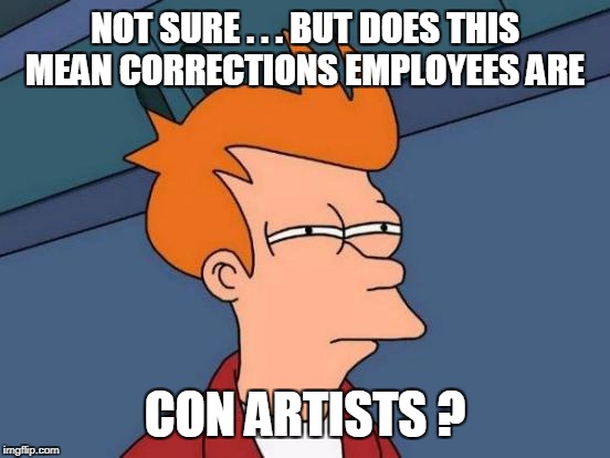 Futurama Fry Meme | NOT SURE . . . BUT DOES THIS MEAN CORRECTIONS EMPLOYEES ARE CON ARTISTS ? | image tagged in memes,futurama fry | made w/ Imgflip meme maker