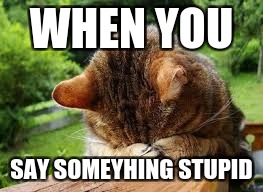 Face Paw | WHEN YOU; SAY SOMEYHING STUPID | image tagged in facepalm | made w/ Imgflip meme maker
