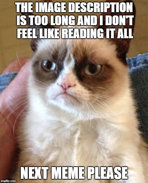 Grumpy Cat Meme | THE IMAGE DESCRIPTION IS TOO LONG AND I DON'T FEEL LIKE READING IT ALL; NEXT MEME PLEASE | image tagged in memes,grumpy cat | made w/ Imgflip meme maker