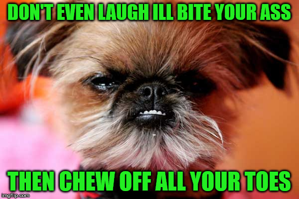 DON'T EVEN LAUGH ILL BITE YOUR ASS THEN CHEW OFF ALL YOUR TOES | made w/ Imgflip meme maker