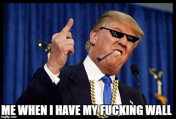 ME WHEN I HAVE MY FUCKING WALL | made w/ Imgflip meme maker