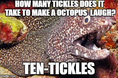 bad-um tssss | HOW MANY TICKLES DOES IT TAKE TO MAKE A OCTOPUS  LAUGH? TEN-TICKLES | image tagged in bewildered moray eel | made w/ Imgflip meme maker