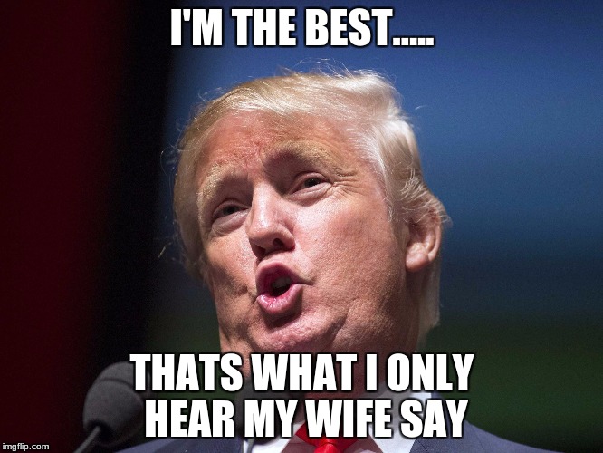 donald trump huge | I'M THE BEST..... THATS WHAT I ONLY HEAR MY WIFE SAY | image tagged in donald trump huge | made w/ Imgflip meme maker