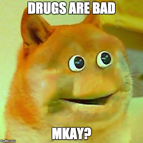weird doge | DRUGS ARE BAD; MKAY? | image tagged in weird | made w/ Imgflip meme maker