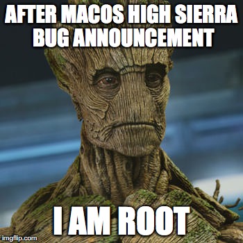 I am Groot | AFTER MACOS HIGH SIERRA BUG ANNOUNCEMENT; I AM ROOT | image tagged in i am groot | made w/ Imgflip meme maker