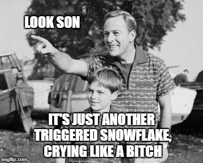 LOOK SON IT'S JUST ANOTHER TRIGGERED SNOWFLAKE, CRYING LIKE A B**CH | made w/ Imgflip meme maker