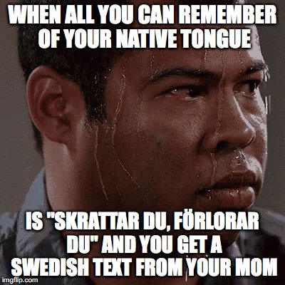 WHEN ALL YOU CAN REMEMBER OF YOUR NATIVE TONGUE; IS "SKRATTAR DU, FÖRLORAR DU"
AND YOU GET A SWEDISH TEXT FROM YOUR MOM | made w/ Imgflip meme maker