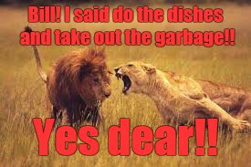 Bill! I said do the dishes and take out the garbage!! Yes dear!! | made w/ Imgflip meme maker