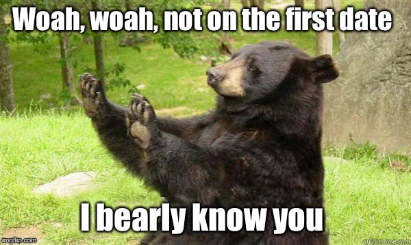 What the...?! | Woah, woah, not on the first date; I bearly know you | image tagged in bear,first date,bad pun,animals,funny animals | made w/ Imgflip meme maker