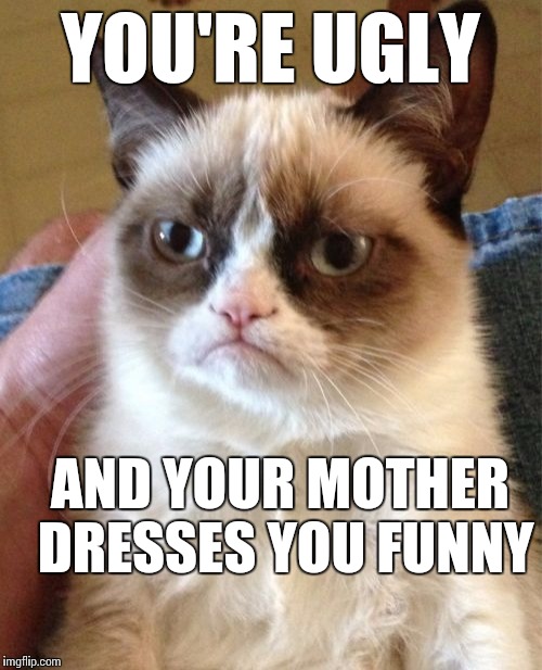 Grumpy Cat | YOU'RE UGLY; AND YOUR MOTHER DRESSES YOU FUNNY | image tagged in memes,grumpy cat | made w/ Imgflip meme maker