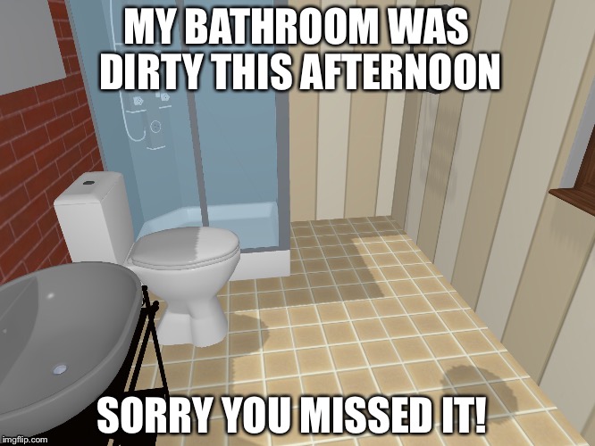 My Bathroom | MY BATHROOM WAS DIRTY THIS AFTERNOON; SORRY YOU MISSED IT! | image tagged in memes,bathroom,funny,sorry you missed it | made w/ Imgflip meme maker