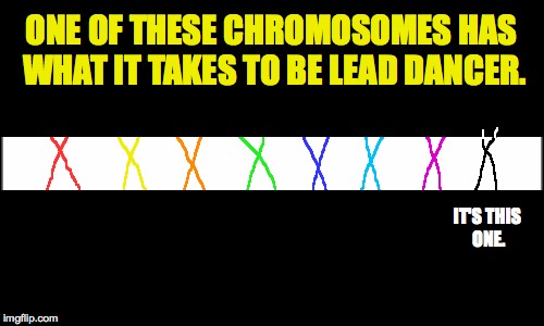 Can you spot talent in the gene pool? | ONE OF THESE CHROMOSOMES HAS WHAT IT TAKES TO BE LEAD DANCER. IT'S THIS ONE. | image tagged in plain white,art comes to imgflip,chromosomes,gene pool,dance | made w/ Imgflip meme maker
