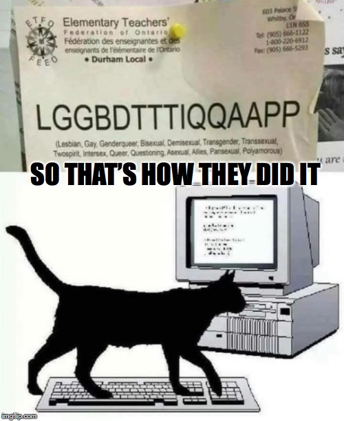 Mastermind Behind The Longest Abbreviation You Will Ever See | SO THAT’S HOW THEY DID IT | image tagged in lgbtq,black cat | made w/ Imgflip meme maker