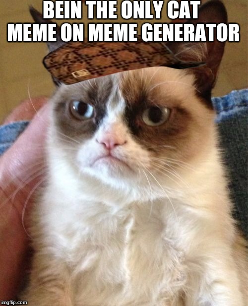 Grumpy Cat Meme | BEIN THE ONLY CAT MEME ON MEME GENERATOR | image tagged in memes,grumpy cat,scumbag | made w/ Imgflip meme maker