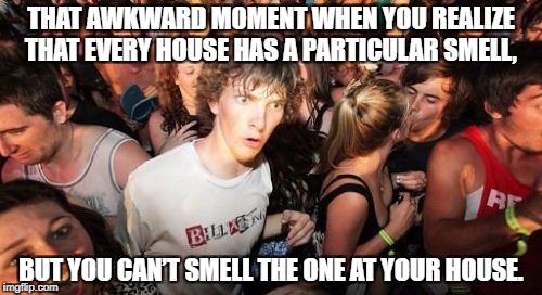 home smell i do not have | THAT AWKWARD MOMENT WHEN YOU REALIZE THAT EVERY HOUSE HAS A PARTICULAR SMELL, BUT YOU CAN’T SMELL THE ONE AT YOUR HOUSE. | image tagged in memes,sudden clarity clarence | made w/ Imgflip meme maker