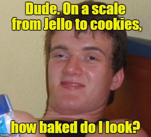 10 Guy Meme | Dude. On a scale from Jello to cookies, how baked do I look? | image tagged in memes,10 guy | made w/ Imgflip meme maker