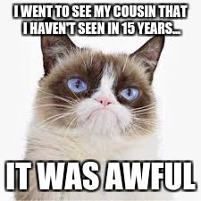 I WENT TO SEE MY COUSIN THAT I HAVEN'T SEEN IN 15 YEARS... IT WAS AWFUL | image tagged in memes | made w/ Imgflip meme maker