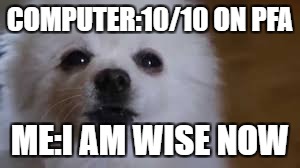 Gabe the dog | COMPUTER:10/10 ON PFA; ME:I AM WISE NOW | image tagged in gabe the dog | made w/ Imgflip meme maker