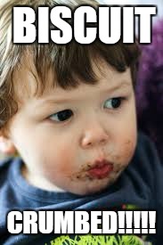 BISCUIT; CRUMBED!!!!! | image tagged in biscuit crumb | made w/ Imgflip meme maker