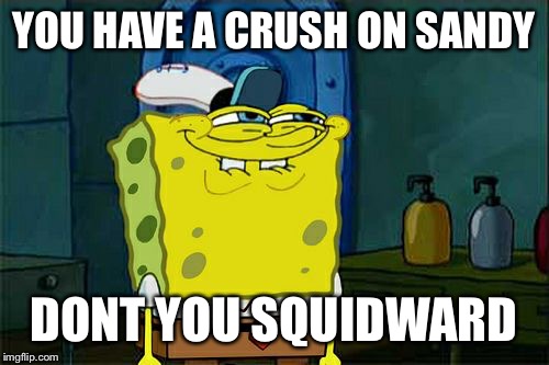 Don't You Squidward Meme | YOU HAVE A CRUSH ON SANDY; DONT YOU SQUIDWARD | image tagged in memes,dont you squidward | made w/ Imgflip meme maker