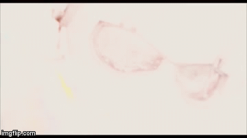 ant2 | image tagged in gifs,movies | made w/ Imgflip video-to-gif maker