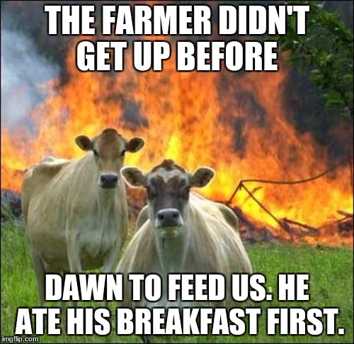 Evil Cows | THE FARMER DIDN'T GET UP BEFORE; DAWN TO FEED US. HE ATE HIS BREAKFAST FIRST. | image tagged in memes,evil cows | made w/ Imgflip meme maker