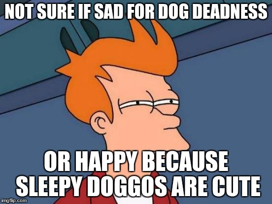Futurama Fry Meme | NOT SURE IF SAD FOR DOG DEADNESS OR HAPPY BECAUSE SLEEPY DOGGOS ARE CUTE | image tagged in memes,futurama fry | made w/ Imgflip meme maker