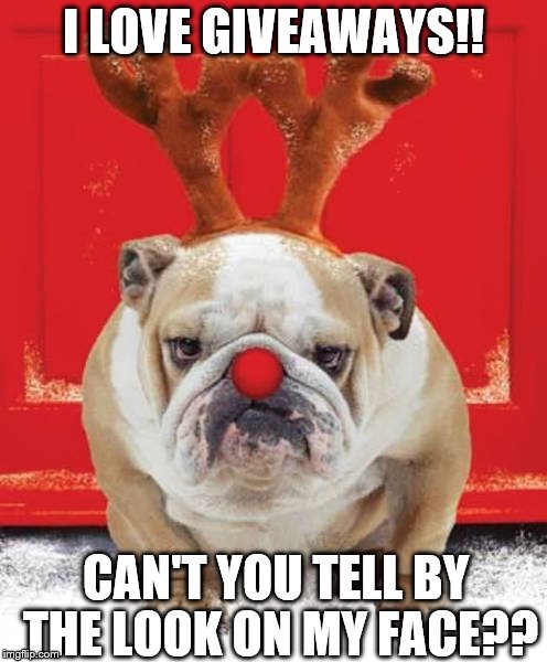 Christmas Giveaway | I LOVE GIVEAWAYS!! CAN'T YOU TELL BY THE LOOK ON MY FACE?? | image tagged in dogs,giveaway,christmas,holidays,FreeKarma4U | made w/ Imgflip meme maker