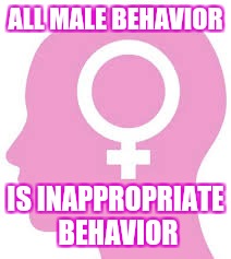 Feminists | ALL MALE BEHAVIOR; IS INAPPROPRIATE BEHAVIOR | image tagged in feminists | made w/ Imgflip meme maker