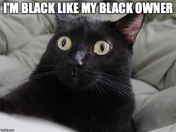 Stranger things  | I'M BLACK LIKE MY BLACK OWNER | image tagged in stranger things | made w/ Imgflip meme maker