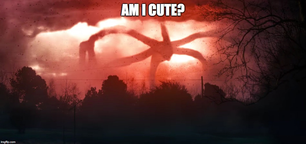 Stranger Things 2 | AM I CUTE? | image tagged in stranger things 2 | made w/ Imgflip meme maker