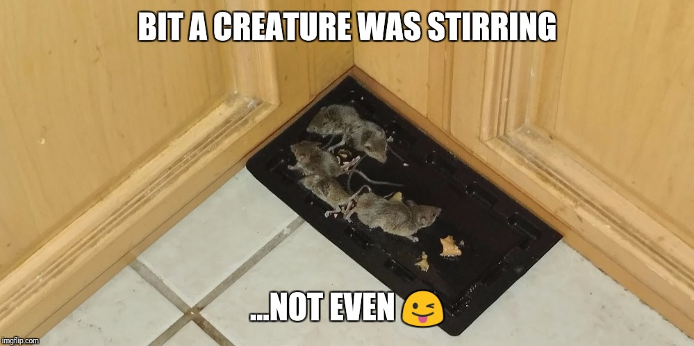 It's a trap | BIT A CREATURE WAS STIRRING; ...NOT EVEN 😜 | image tagged in it's a trap | made w/ Imgflip meme maker