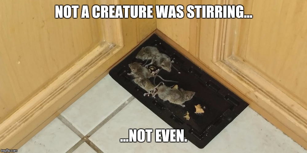It's a trap | NOT A CREATURE WAS STIRRING... ...NOT EVEN. | image tagged in it's a trap | made w/ Imgflip meme maker