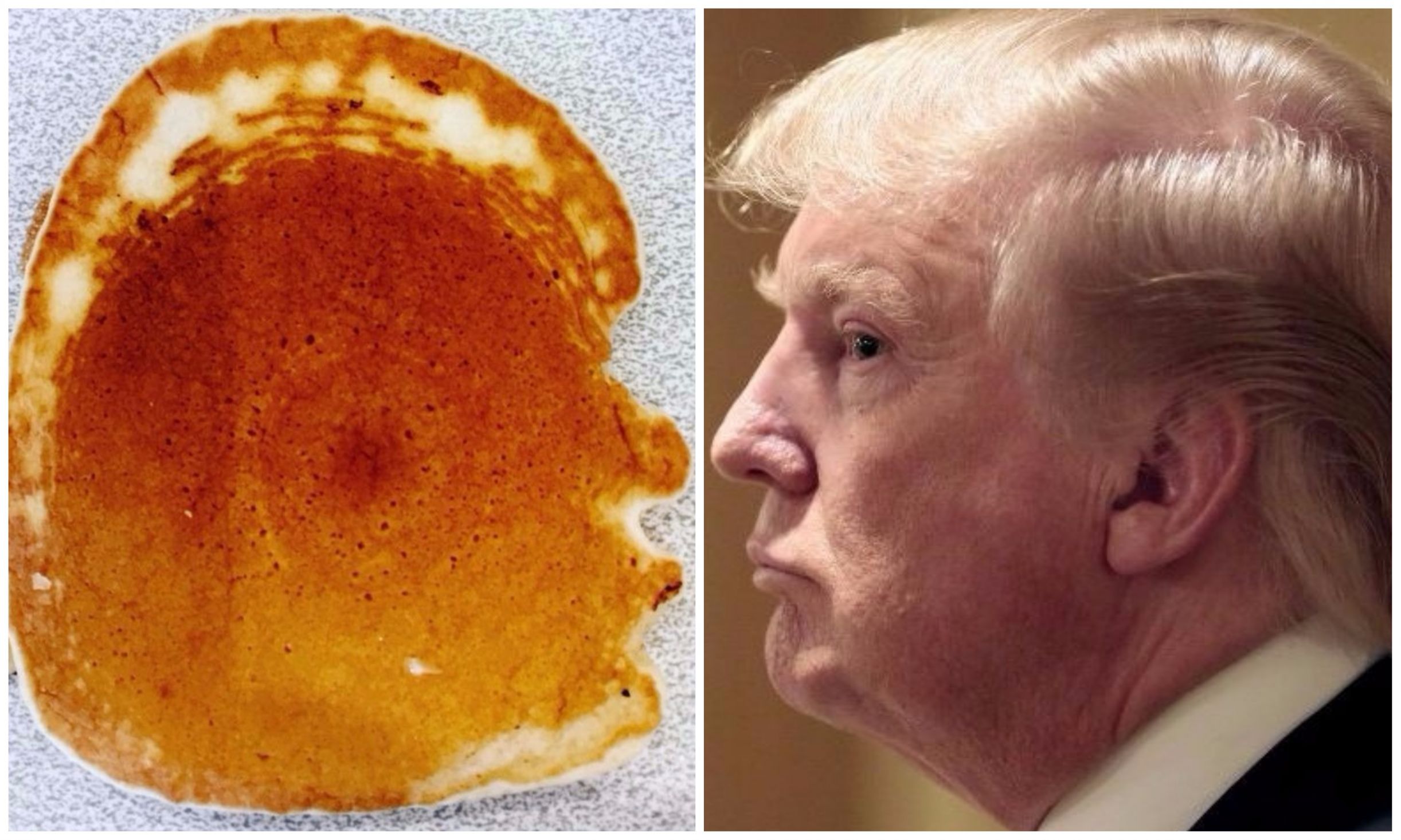 Trump pancake Blank Meme Template