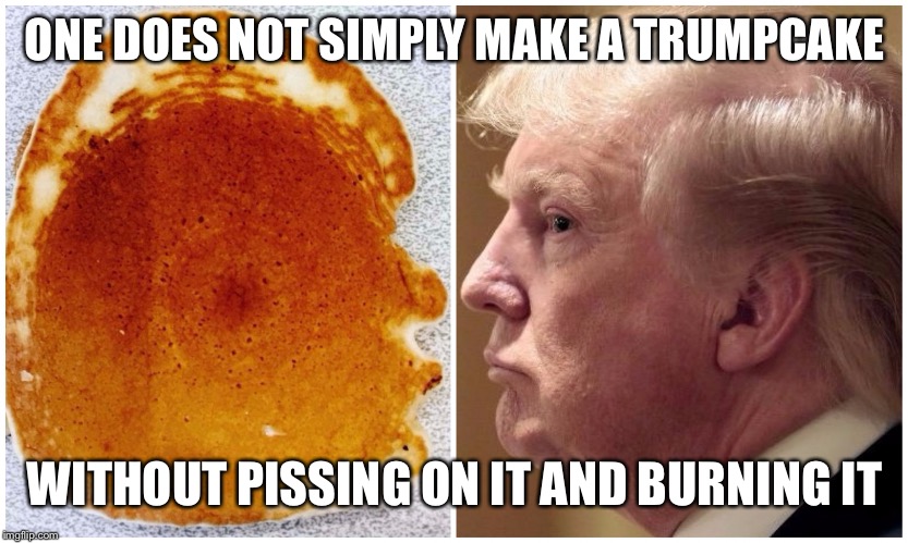 Trump pancake | ONE DOES NOT SIMPLY MAKE A TRUMPCAKE; WITHOUT PISSING ON IT AND BURNING IT | image tagged in trump pancake | made w/ Imgflip meme maker