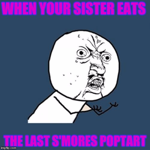 Y U No Meme | WHEN YOUR SISTER EATS; THE LAST S'MORES POPTART | image tagged in memes,y u no | made w/ Imgflip meme maker
